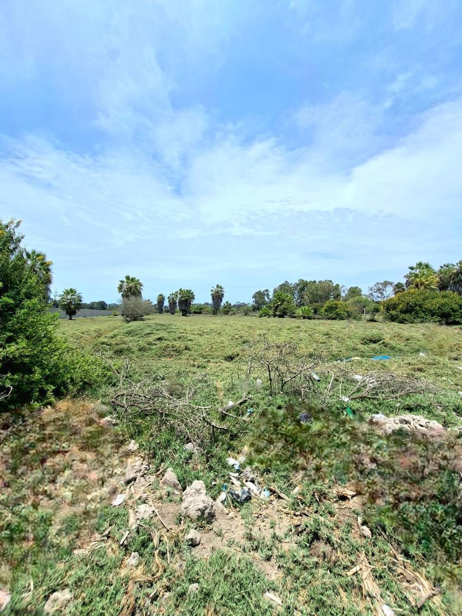 Venta de Terreno / Lote en Mala - Cañete 0 Dormitorio 