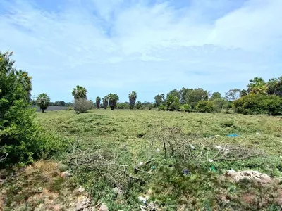 Venta de Terreno / Lote en Mala - Cañete 0 Dormitorio 