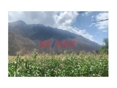 📍 Oportunidad: Venta De Terreno - 5,000 M² En Ollantaytambo – Sector Manzanayoc