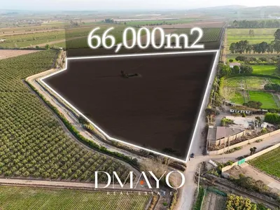 Venta de Terreno / Lote en Quilmana - Cañete