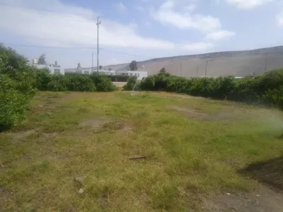 Venta de Terreno / Lote en Punta de Bombon - Islay 0 Dormitorio 