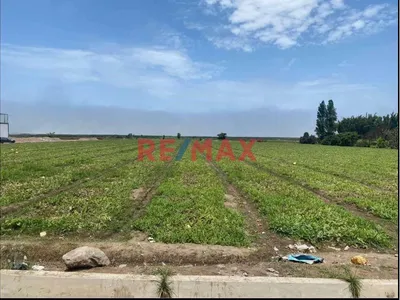 Venta De 1.17 Has En Chancay A 2Km Del Puerto $130 Por M2 - Sector Las Salinas