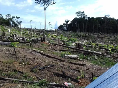 Venta de Terreno / Lote en Maynas
