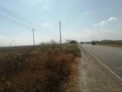 Venta de Terreno / Lote en Zarumilla - Zarumilla 0 Dormitorio 
