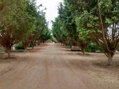Venta de Terreno / Lote en Chincha