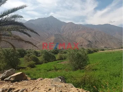 Haz Realidad Tu Proyecto Rural: Fundo Ganadero Y Agrícola En El Corazón De Ayacucho