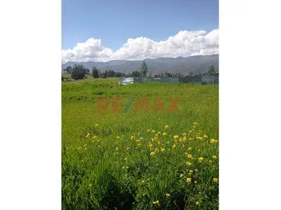 Terreno En Venta Sucso Aucaylle