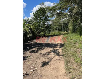 Vendo 2 Lotes En Moyobamba Inscritos En Registros Públicos