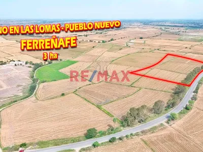 Terreno En Venta - En Las Lomas - Pueblo Nuevo - Ferreñafe De 3 Ha