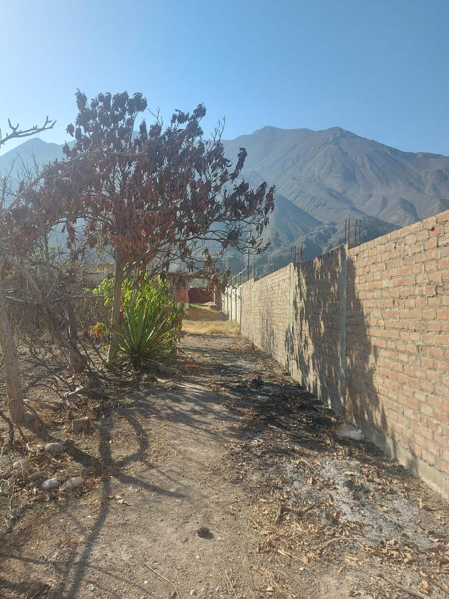 Venta de Terreno / Lote en Canete - Cañete 0 Dormitorio 