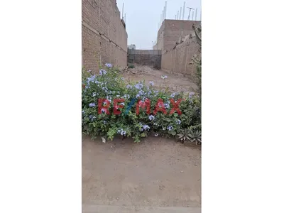 🔥 ¡Terreno En Zona Estratégica De Carabayllo Con Alta Proyección Comercial!