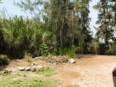 Erreno Agrícola 5,020 M² - Sur De Pachacamac