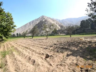 Venta de Terreno / Lote en Cieneguilla - Lima