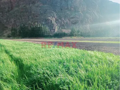 Donde El Turismo Se Convierte En Inversión Inteligente Valle Sagrado – Pachar | Camino A Ollantaytambo (Urubamba)