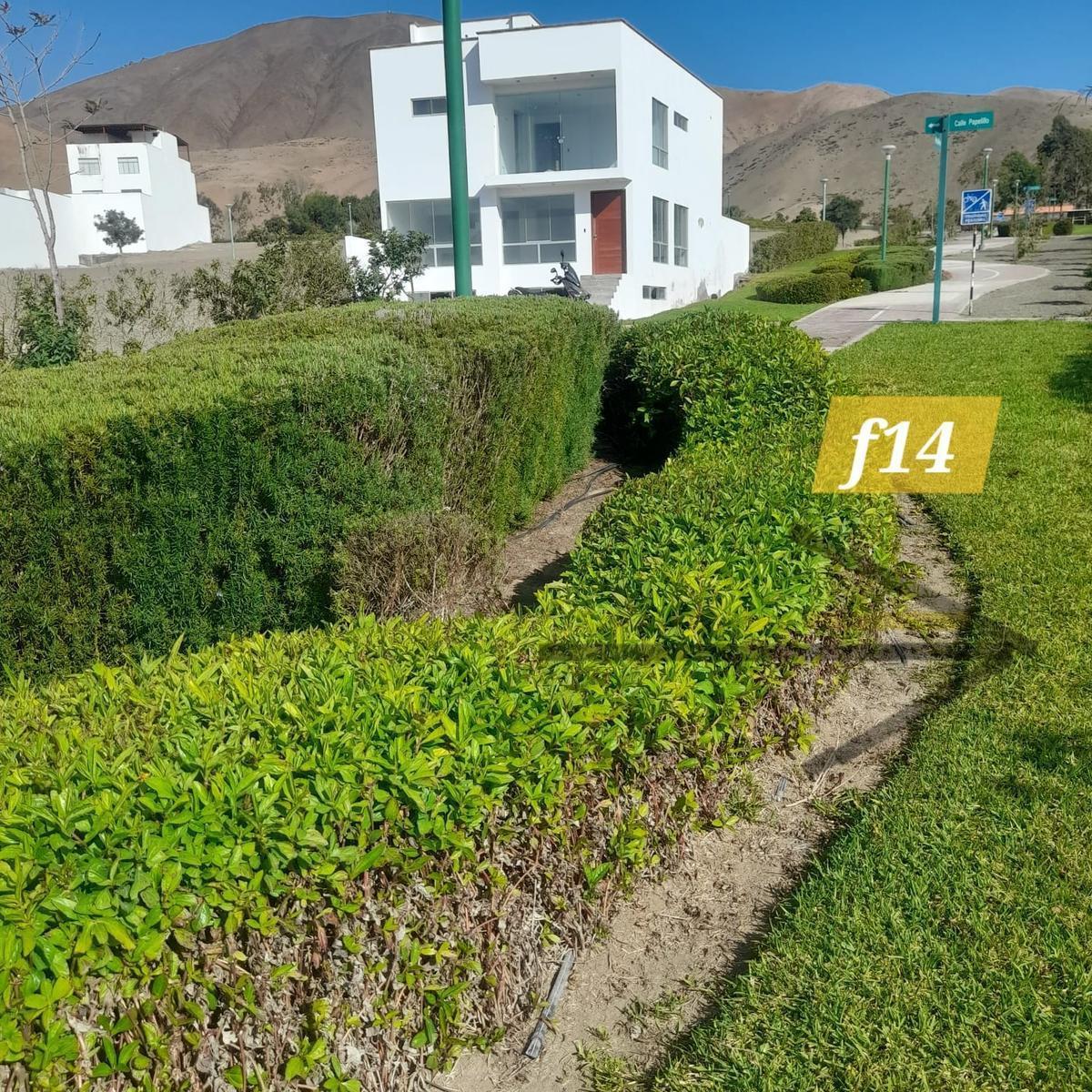 Venta de Terreno / Lote en Canete - Cañete 0 Dormitorio 