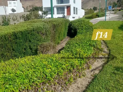 Terreno en venta · Condominio Nuevo Polo, Santa Cruz de Flores · 144 m²