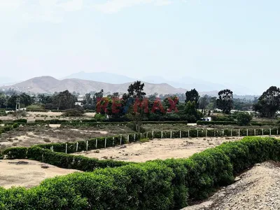 ¡Bajo De Precio! Terreno En Condominio Finca Maria Pachacamac