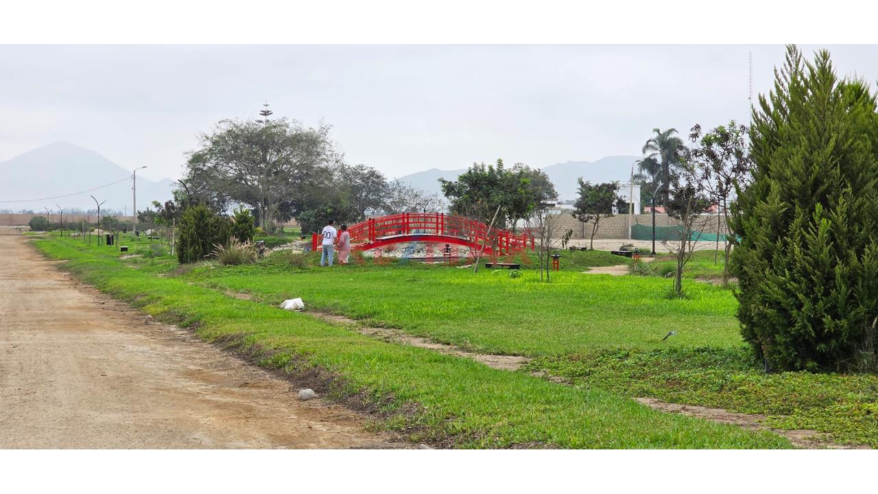 🌸 Terreno En Venta – Condominio Temático Japonés Sakura | Huaral