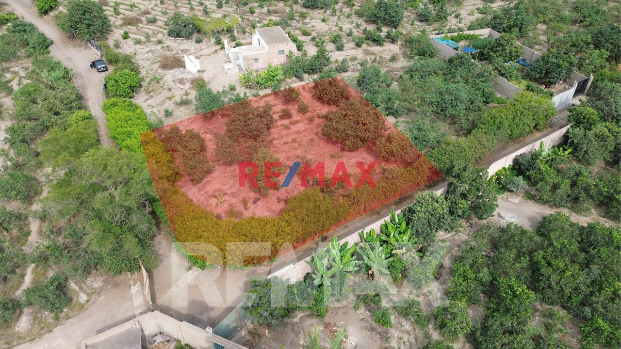 Venta De Terreno Agrícola De 1000 M² En Venta – Huaral