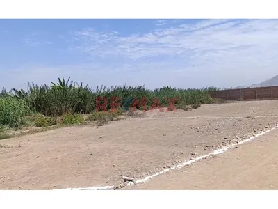 Venta Terreno En Esquina De 500 M2 Para Casa Campo-Fundo Cerro Azul, Huaral