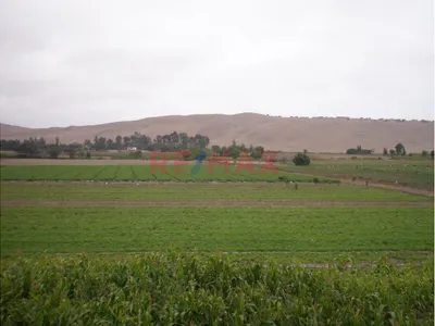 Terreno En Venta De 2 Hectáreas - Huacho