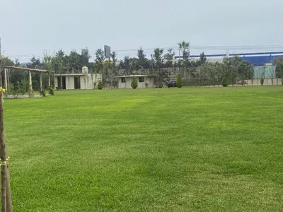 Venta de Terreno / Lote en Lurín - Lima 0 Dormitorio 