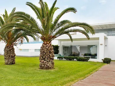 Casa en venta · Asia · 272 m², 5 dorm.
