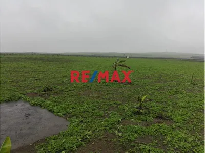 2 Ha Estratégicas Sobre La Panamericana Norte | Km 113  |  Un Terreno Con Gran Potencial Comercial Y Logístico