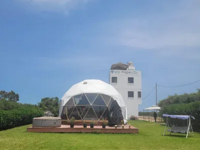 Venta de Terreno / Lote en Chincha Baja - Chincha 0 Dormitorio 