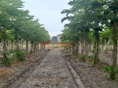 Venta De Terreno Agrícola En Fundo San Fernando