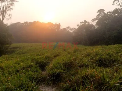 Venta De Terreno De 40 Ha: Ideal Para Agroturismo Y Cultivo Agricola