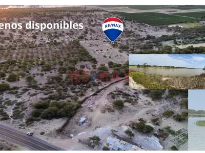 📢 Se Vende 🏞️ Terrenos Comerciales Desde 6 Hectáreas Hasta 40 Hectáreas 🌿 Frente A Una Laguna Natural 🌊