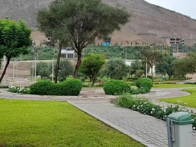 Venta de Terreno / Lote en Pachacamac - Lima 0 Dormitorio 