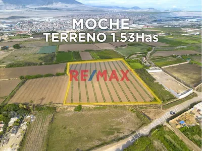 Terreno 1.53 Hectareas En Venta En Moche