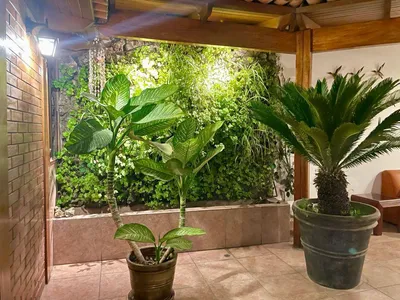 Casa en venta · Avenida Octavio Espinoza y Gonzales 1, San Isidro · 568 m², 5 dorm.
