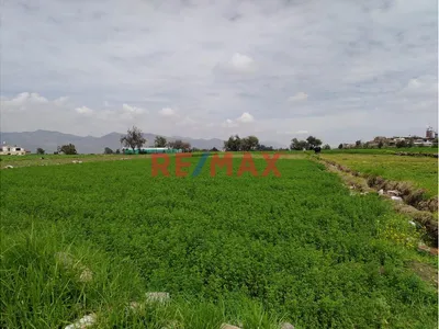 Se Vende Terreno En Casa Alta - Characato