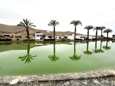 Venta de Terreno / Lote en Asia - Cañete