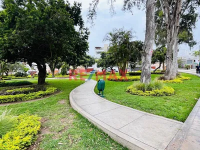 Vive Frente A Parque Los Jazmines En Surco