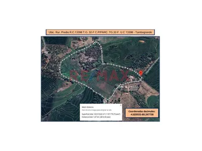 🌱 Terreno Agrícola En Venta – 50% De Acciones Y Derechos | Tambogrande – Piura