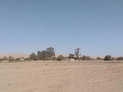Venta de Terreno / Lote en Pisco - Pisco 0 Dormitorio 