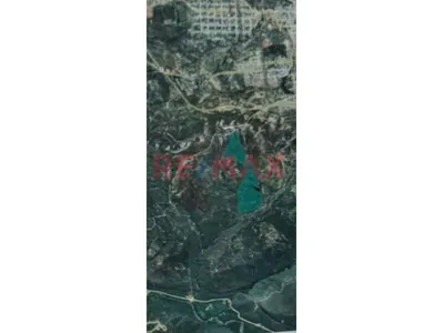 Terreno En Venta Chachapoyas