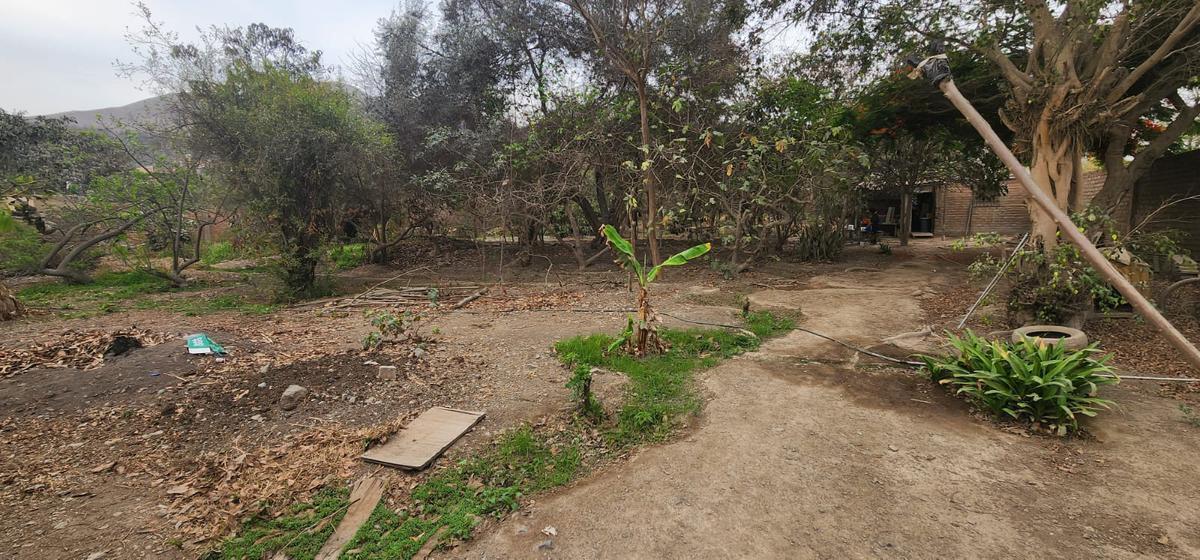 Venta de Terreno / Lote en Carabayllo - Lima 0 Dormitorio 