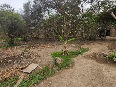 Venta de Terreno / Lote en Carabayllo - Lima 0 Dormitorio 