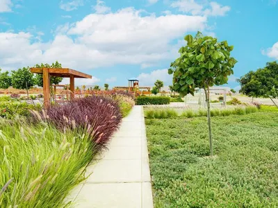 Venta de Terreno / Lote en Asia - Cañete